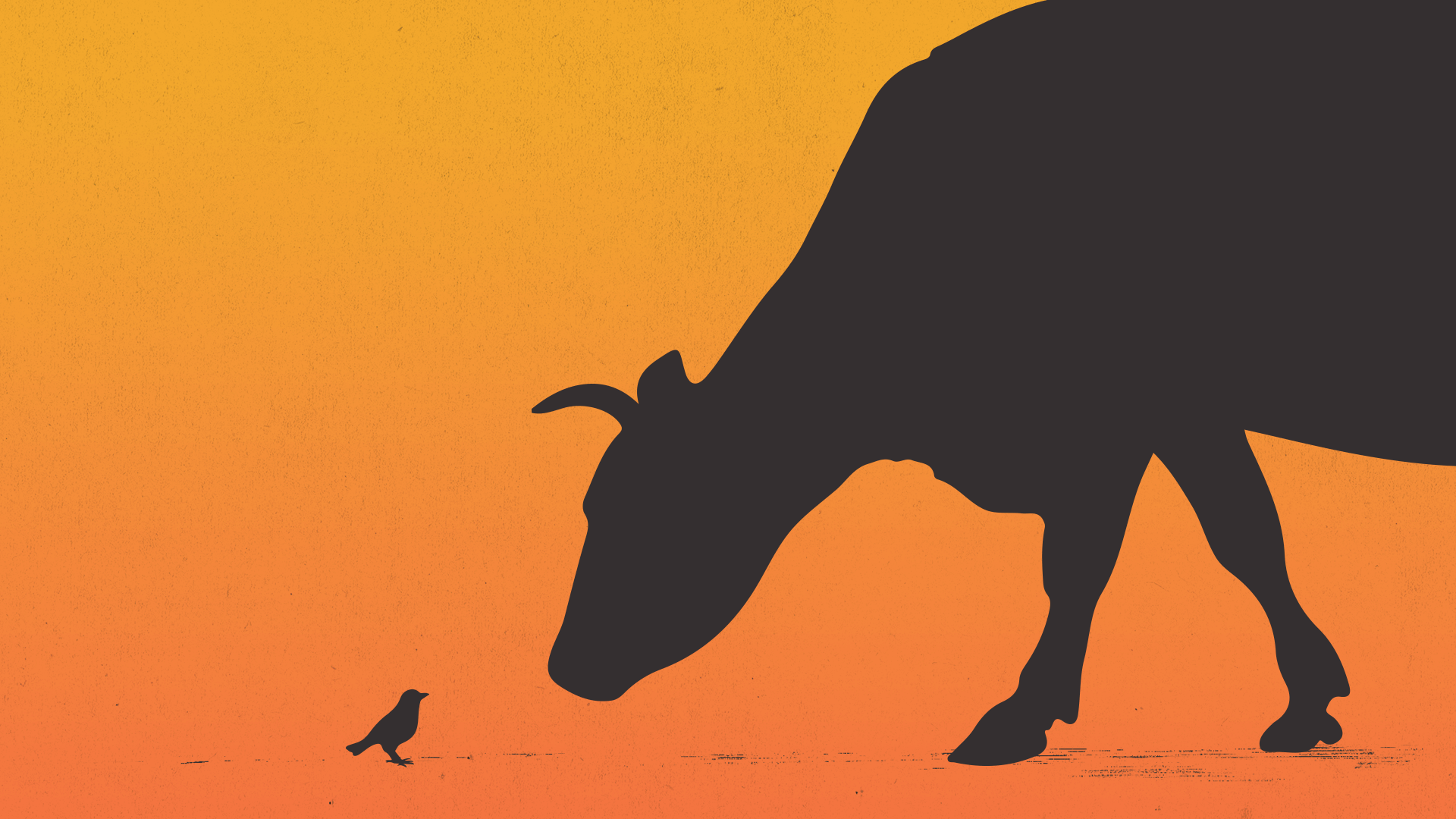 Editorial illustration avian flu with a cow and small bird facing each other